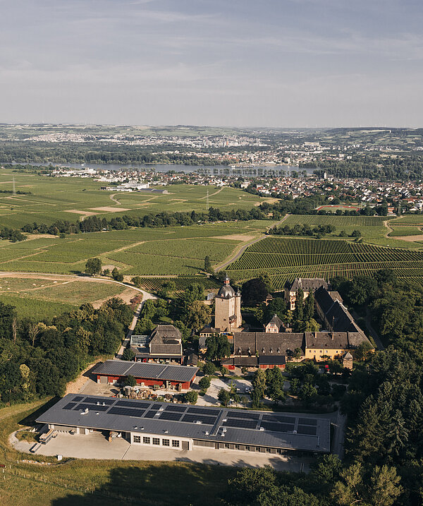 Schloss_Vollrads_Drohnenbild_Blick_zum_Rhein