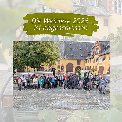 Schloss_Vollrads_Weinlese_2026