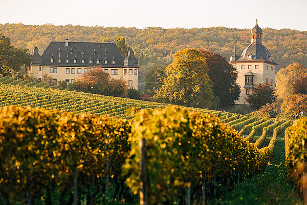 Schloss_Vollrads_SchlossimHerbst