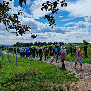 Schloss_Vollrads_Wandern