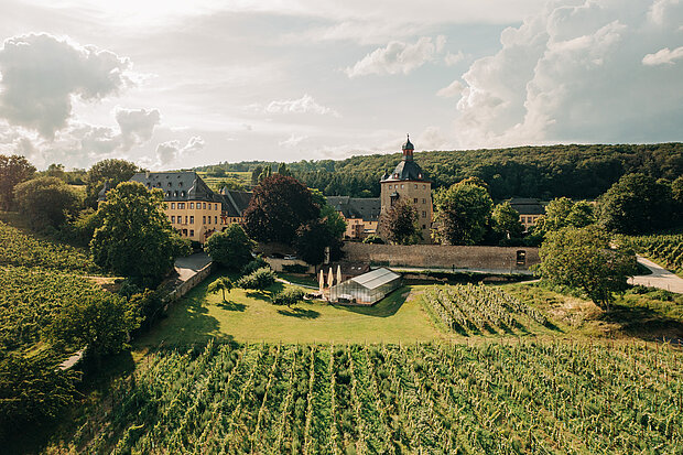 Schloss_Vollrads_Clos du jardin