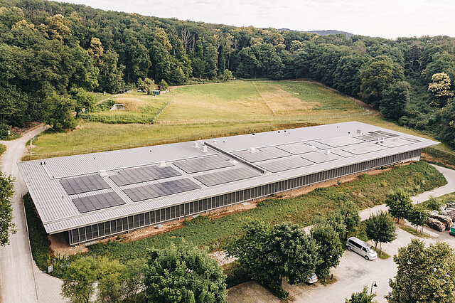 Schloss_Vollrads_NeuerWeinkeller