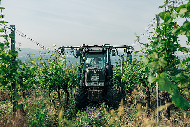 Schloss_Vollrads_Traktor_Weinberg