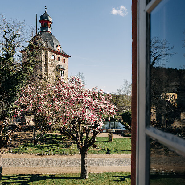 Schloss_Vollrads_Frühlung_Turm_Vinothek