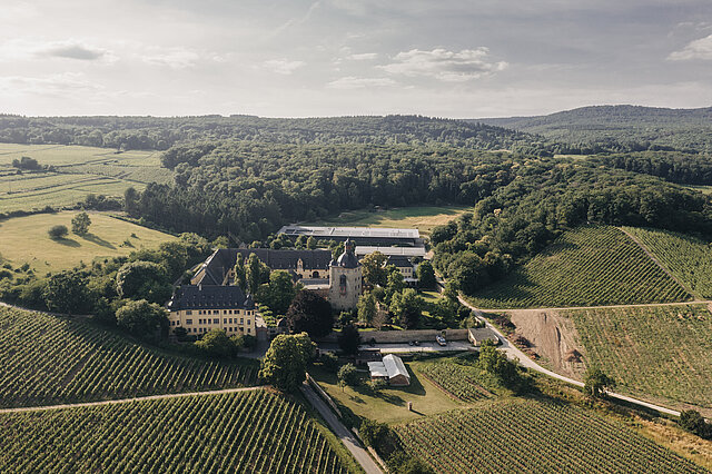 Schloss_Vollrads_Drohnenbild
