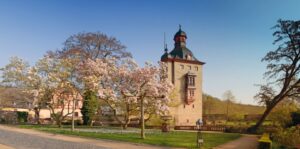 Schloss Vollrads Oestrich Winkel Rheingau