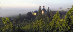 Weingüter Schloss Vollrads Weine