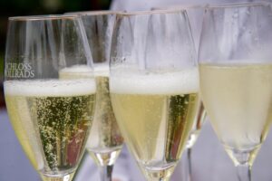 Heiraten und feiern auf Schloss Vollrads im Rheingau.