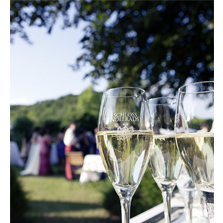 Schloss Vollrads Riesling Sekt auf Veranstaltung