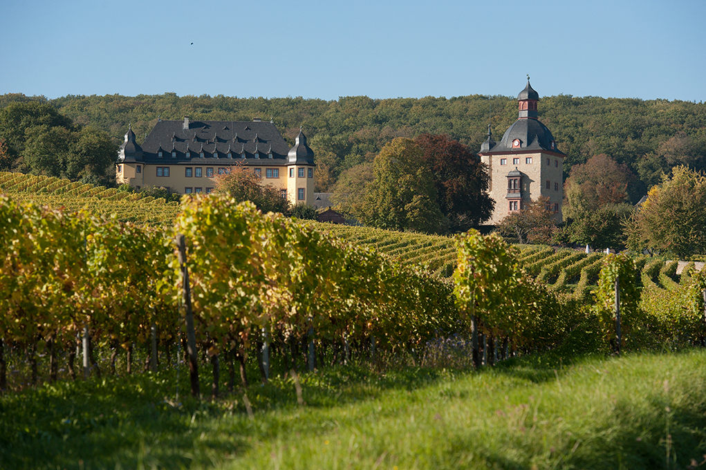 Schloss - Schloss Vollrads